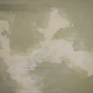 Prueba del artista 2