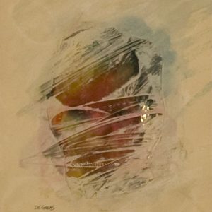 Rostro tapado