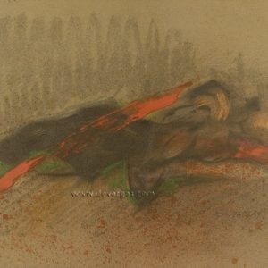 Silueta tumbada