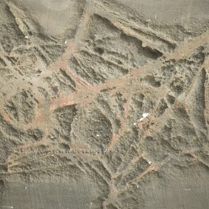 Tela de araña